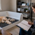 A responsible dog breeder in Ontario reviewing puppy care, vet records, and home setup.