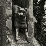 ancient dog breeds