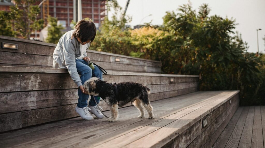 kid-friendly dog training