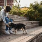 kid-friendly dog training