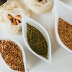 grain-free diets for dogs