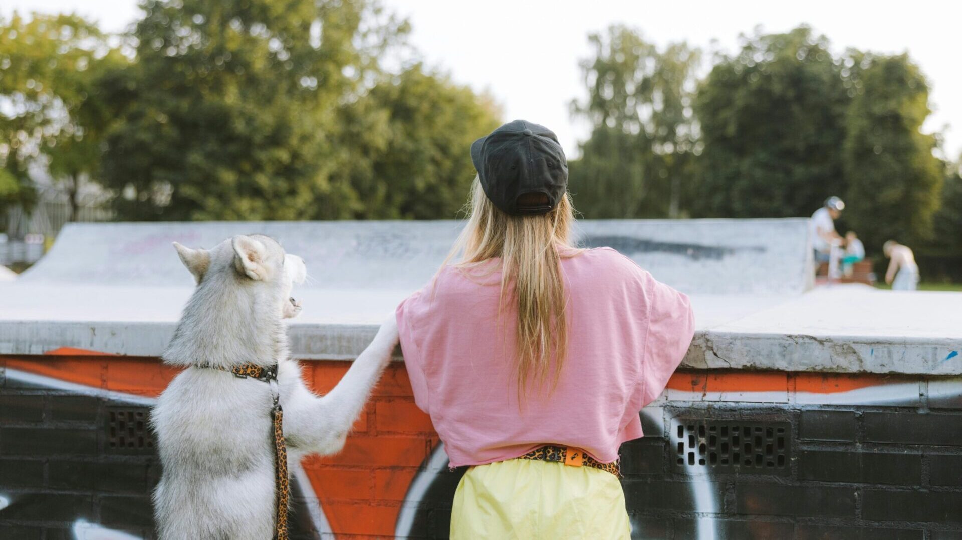 dog bonding activities