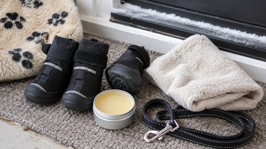 Winter dog paw care supplies including boots balm and towel